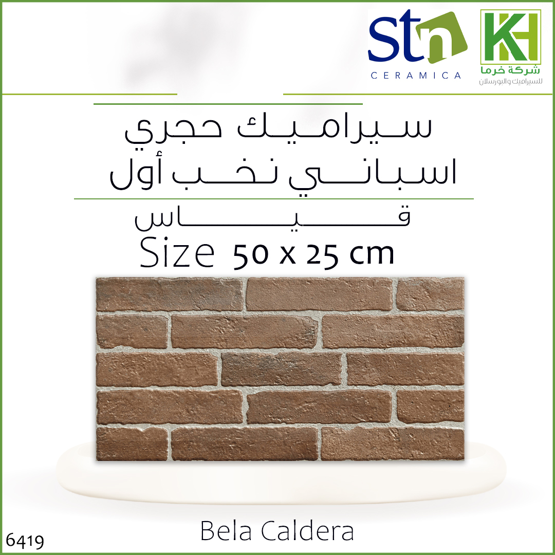 Picture of Spanish stone wall tiles 25 x 50 cm Bela Caldera